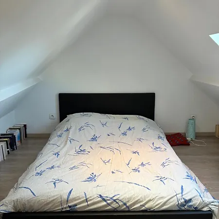 Διαμέρισμα Le Duplex *