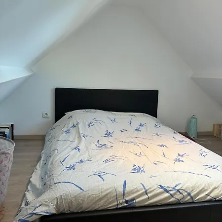 Le Duplex * Χάβρη