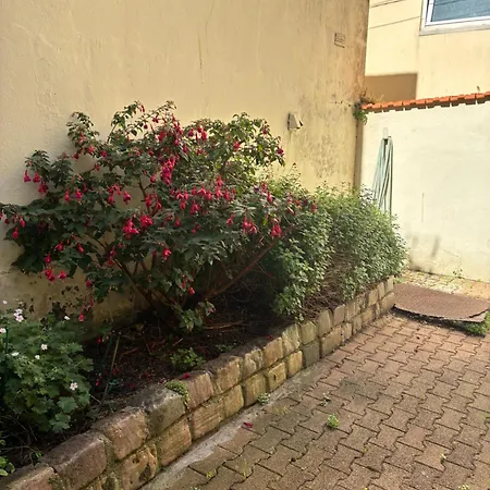 Διαμέρισμα Le Duplex *
